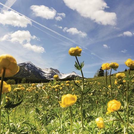 Rosa Bilo 2 Apartman Carisolo Kültér fotó